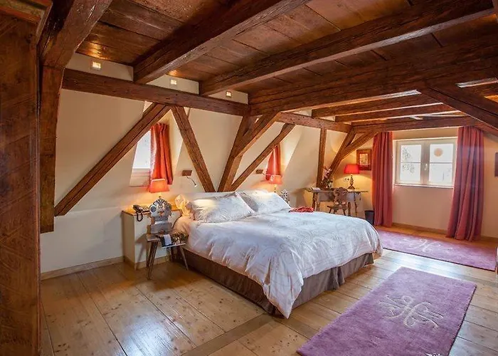 Hotel Hôtel&spa Le Bouclier D'or Strasbourg