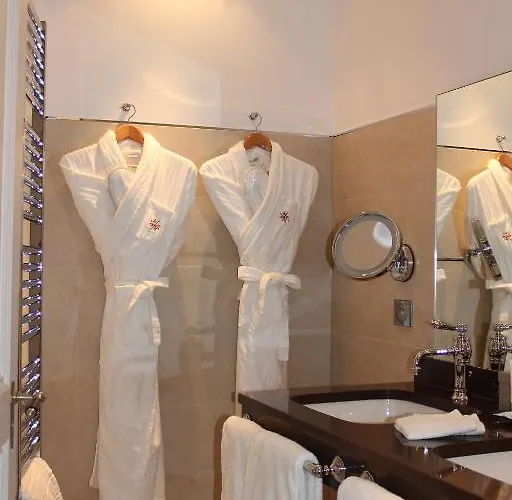 Hotel Hôtel&spa Le Bouclier D'or 4*