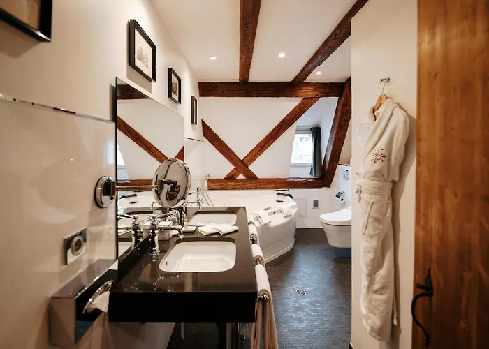 Hotel & Le Bouclier D'or 4*