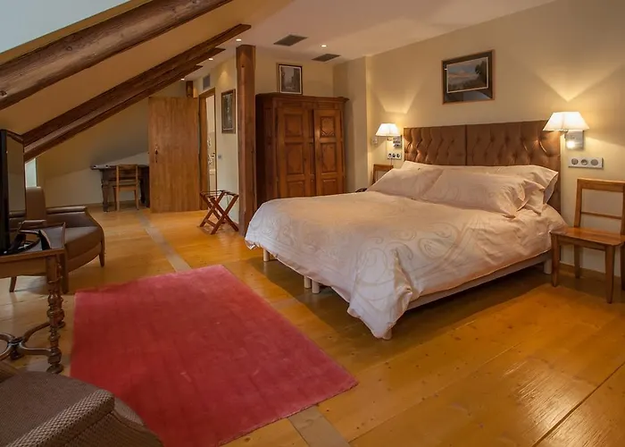 Hotel Hôtel&spa Le Bouclier D'or 4*