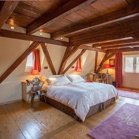 Hotel & Le Bouclier D'or Strasburg