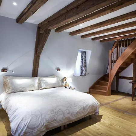Hotel & Le Bouclier D'or Strasburg