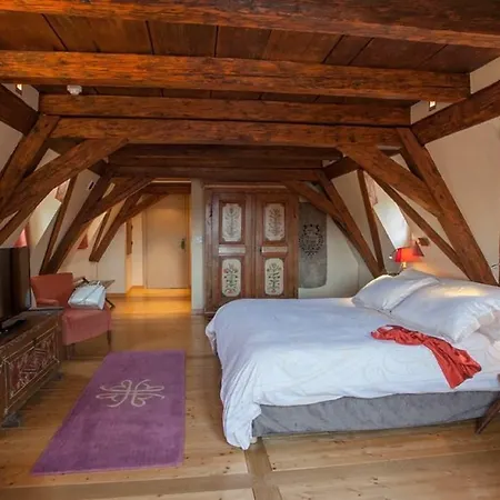 Hotel & Le Bouclier D'or Strasburg