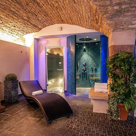 Hôtel&spa Le Bouclier D'or 4*