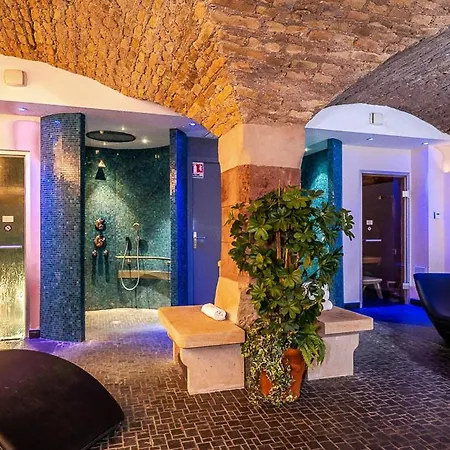 Hôtel&spa Le Bouclier D'or 4*