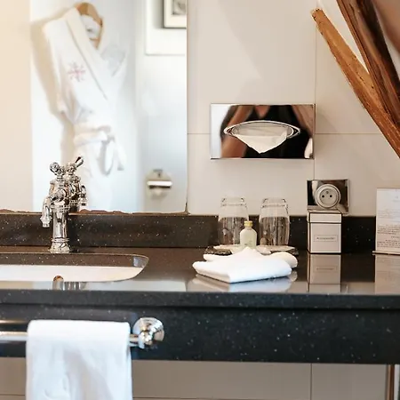 Hotel & Le Bouclier D'or 4*