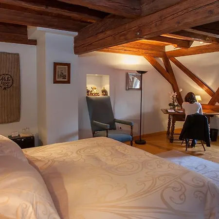 & Le Bouclier D'or Hotel Strasburg
