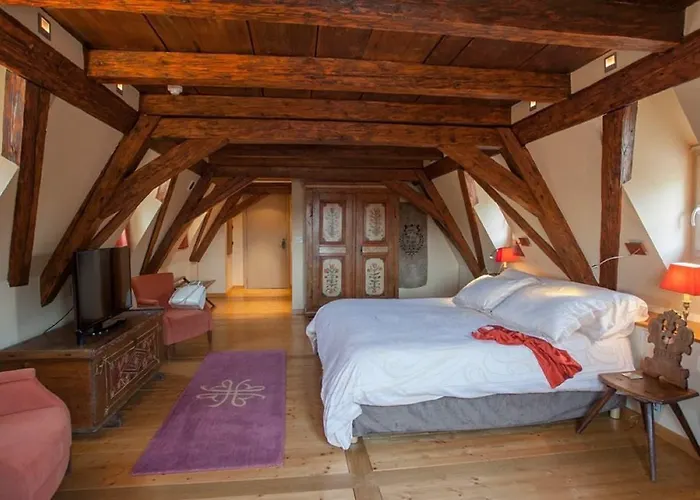 Hotel & Le Bouclier D'or Straatsburg