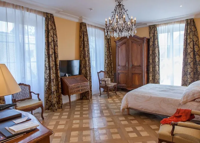 Hotel & Le Bouclier D'or Straatsburg