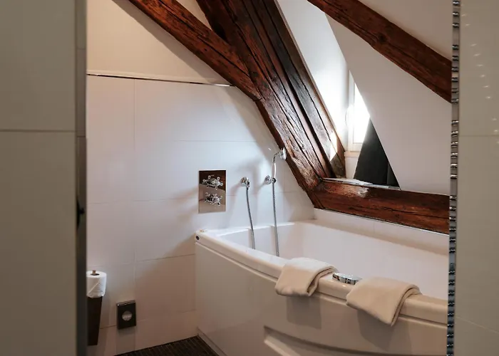 & Le Bouclier D'or 4* Straatsburg