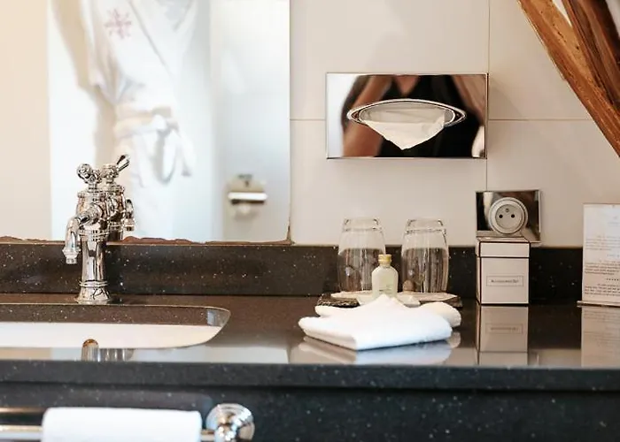 Hotel & Le Bouclier D'or 4*