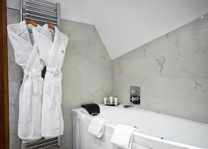 & Le Bouclier D'or 4* Straatsburg